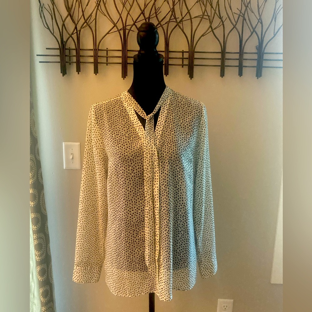 The Limited brand Cream Top with Tie Neck